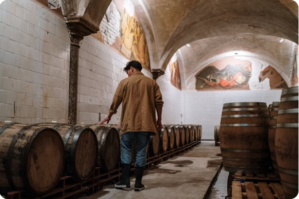 비싼 와인과 저렴한 와인의 차이