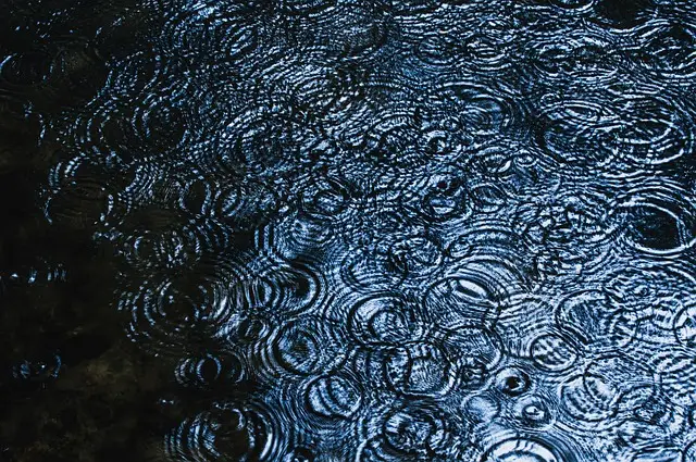 [중장년층 구인구직] 60대 여성 실내 정리정돈 도우미