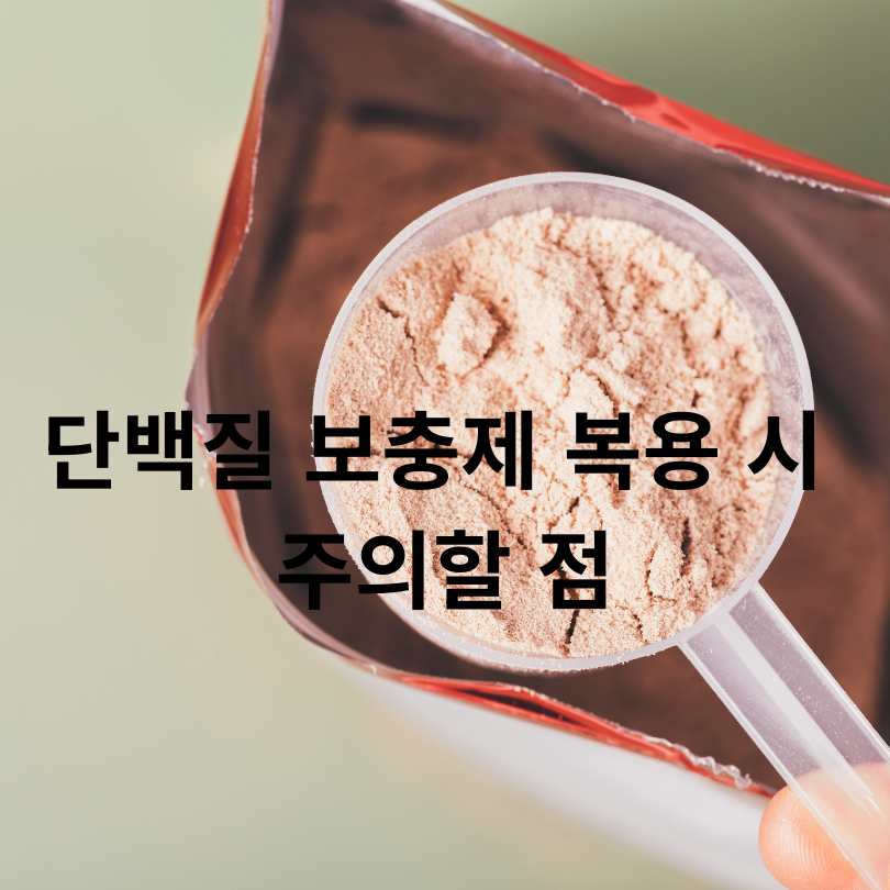 60대 단백질 보충제 추천! 