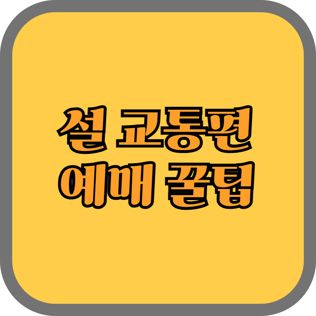 설 교통편 예매 꿀팁: 스트레스 없이 편리하게 이동하기