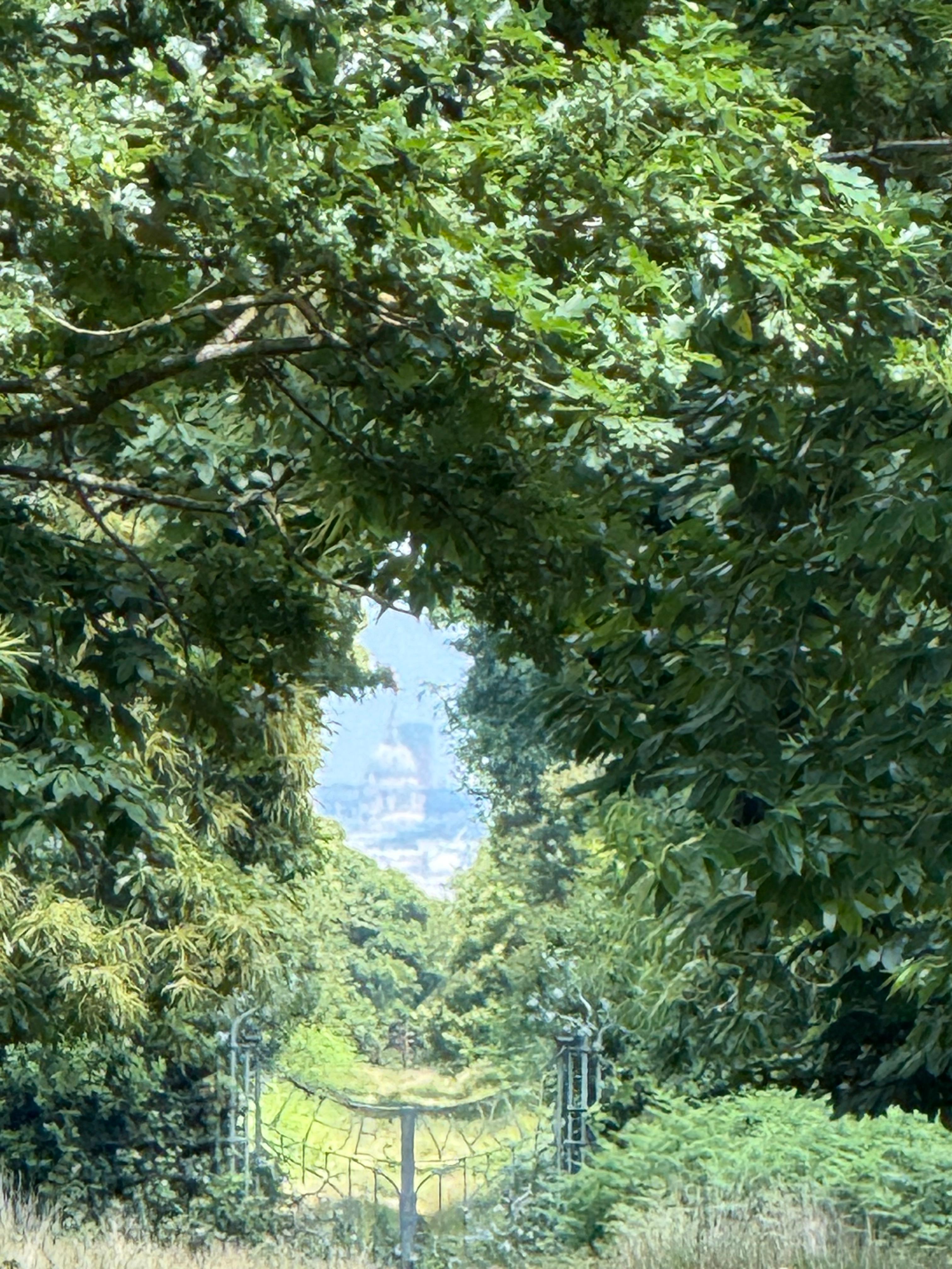 푸른 나뭇잎 터널 사이로 멀리 세인트 폴 대성당이 보이는 리치먼드 파크의 숨겨진 전망 포인트