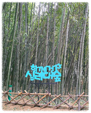 태화강십리대밭