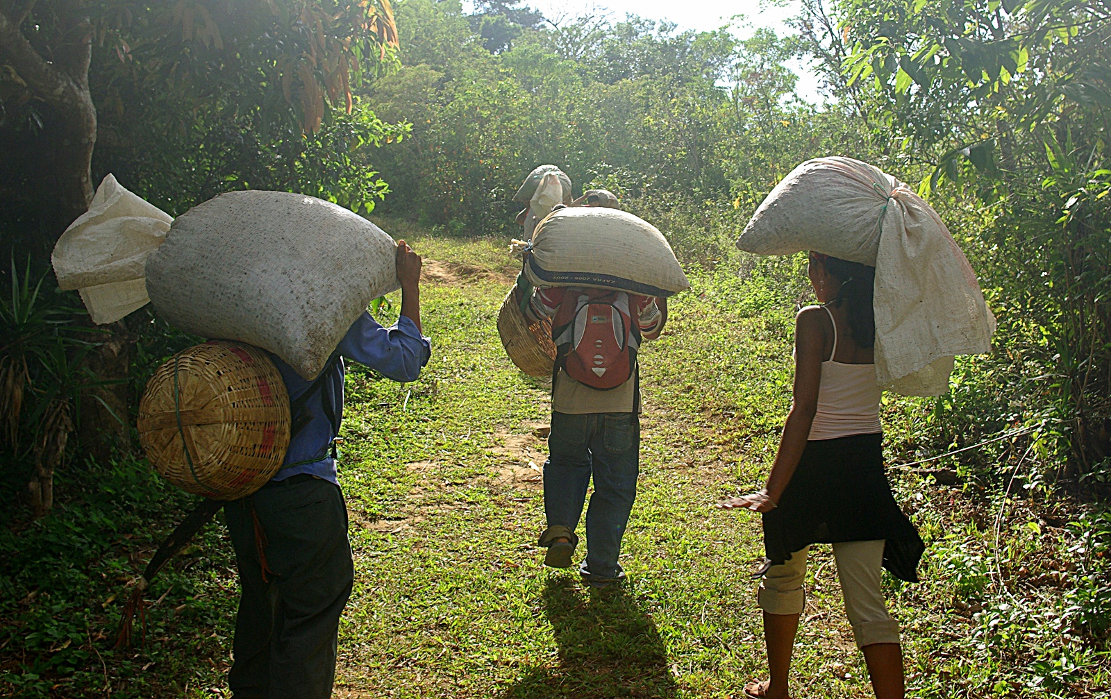엘살바도르의 공정무역 커피 생산자들