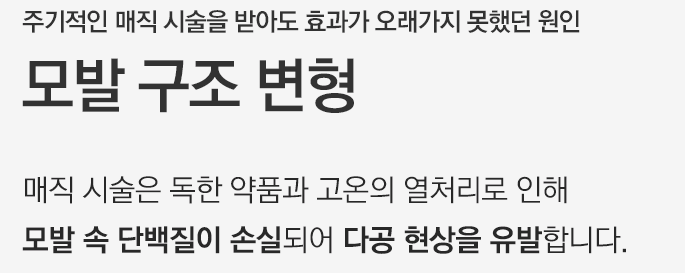 토소웅 매직 샴푸