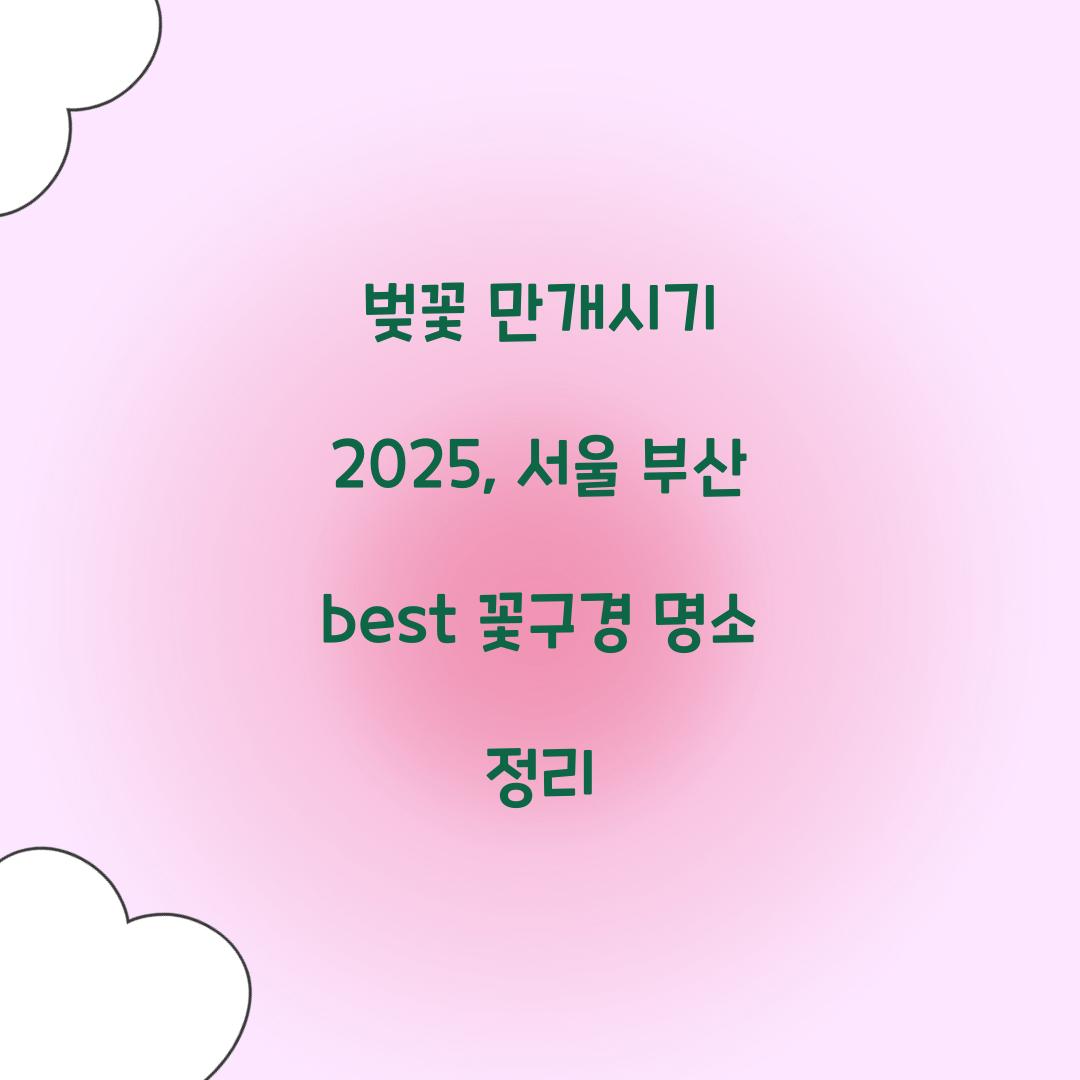 벚꽃 만개시기 2025
