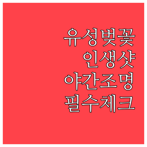 유성구 벚꽃 인생샷 명소와 야간 조명..