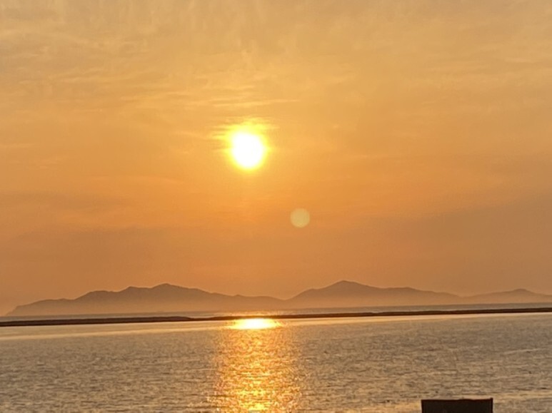 데일리룩(오뭘입)_ 아디다스 파이어버드 트랙탑, 무신사스탠다드 카고바지 블랙, 어커버 반팔, 오니즈타이거 멕시코, 남자코디, 남자스타일링, 벚꽃, 데일리패션, 데일리코디, ootd