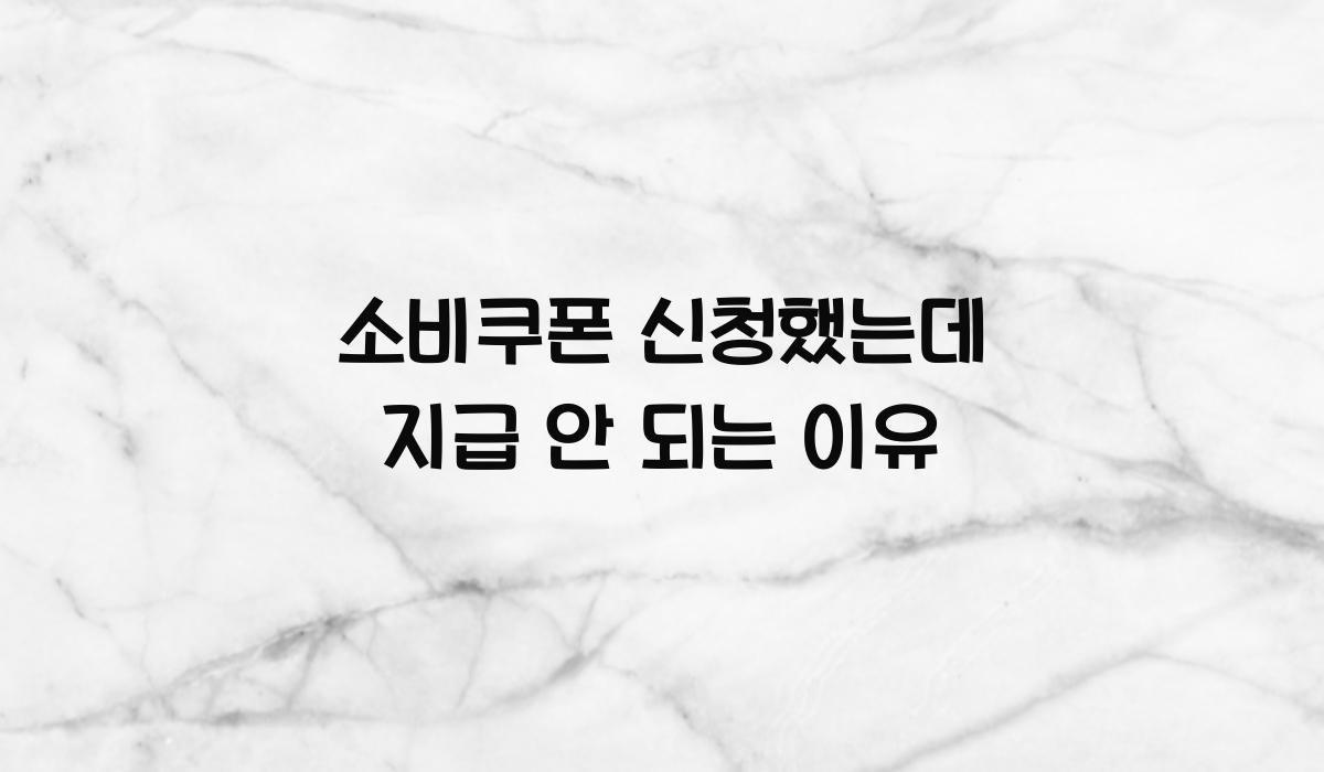 소비쿠폰 신청했는데 지급 안 되는 이유