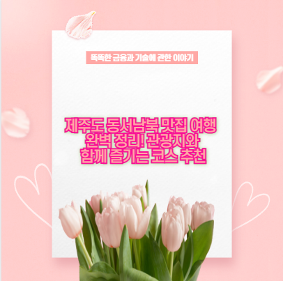 제주도 동서남북 맛집 여행 완벽 정리! 관광지와 함께 즐기는 코스 추천