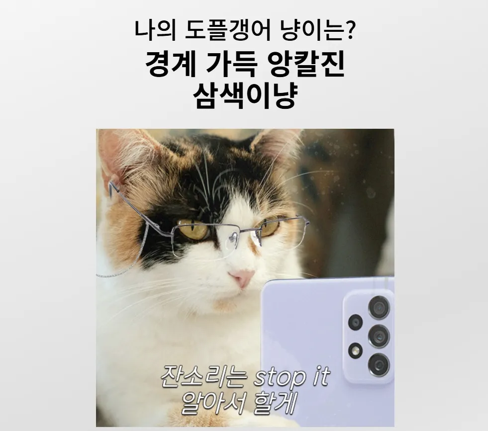 냥플갱어-테스트