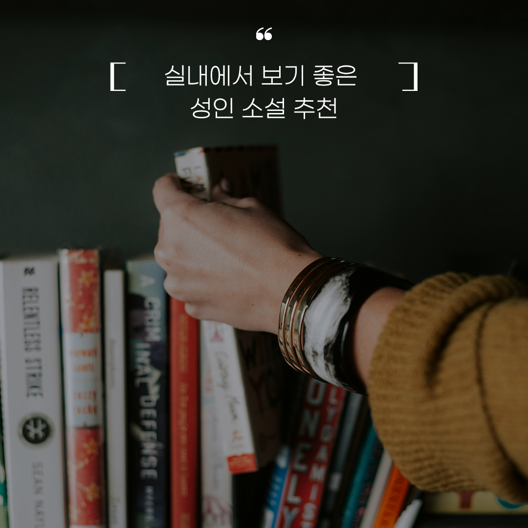 실내에서 보기 좋은 성인 소설 추천