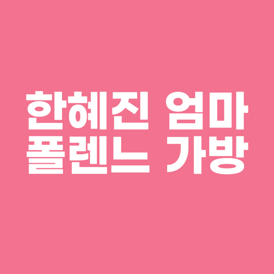 한혜진 엄마 폴렌느 가방