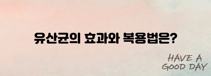 유산균 영양제 추천 순위 & 효과 정리 (복용 타이밍까지!)