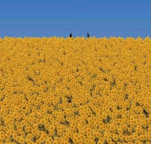 2024년 서울에서 꼭 봐야 할 이색 전시회