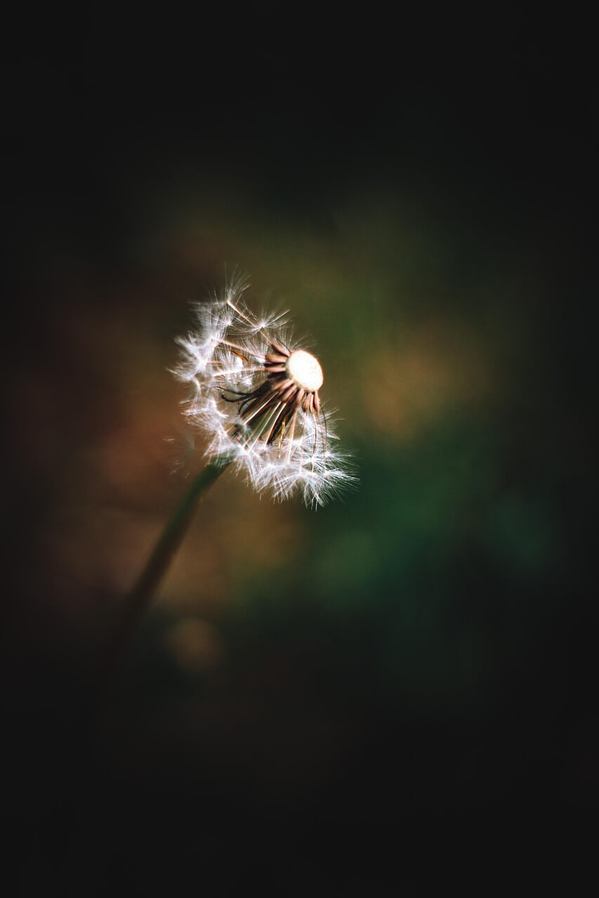 침실 미니멀리즘 &ndash; 숙면을 위한 공간 만들기