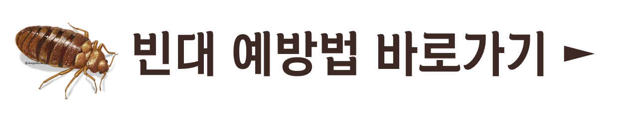 빈대 퇴치 방법 및 빈대 퇴치 유언비어(+2024)