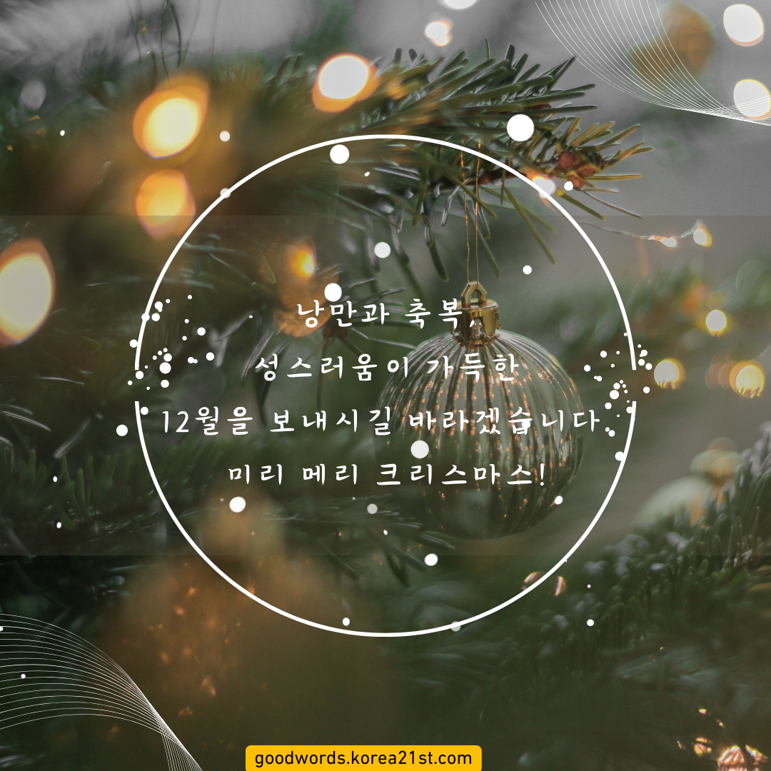 12월 인사말 이미지 문구 모음집 안부 문자 메세지