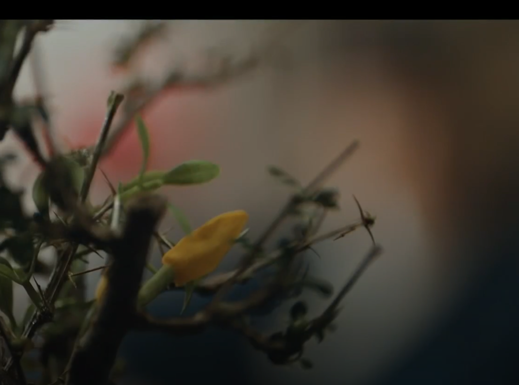 귀궁 13회 줄거리(5)