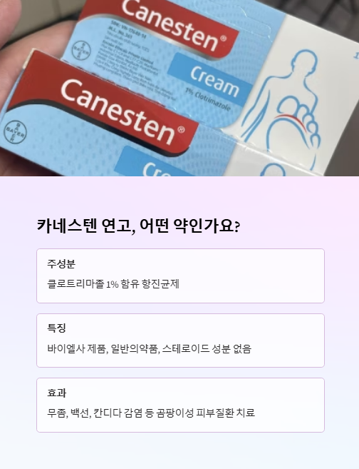 카네스텐 연고 어떤 약인가요?