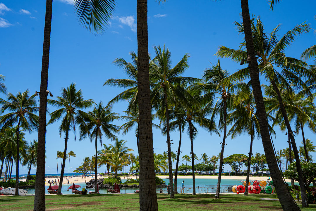 하와이 힐튼 호텔 라군