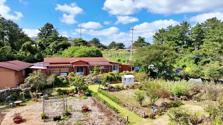 제주의 맛과 이야기를 담은 경치 비경 갤러리 카페 건강 음료 발효 천문동 백하수오 꿀차 제주 한림 애월 맛집