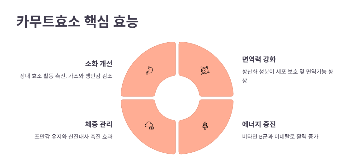 카무트효소 핵심 효능 4가지