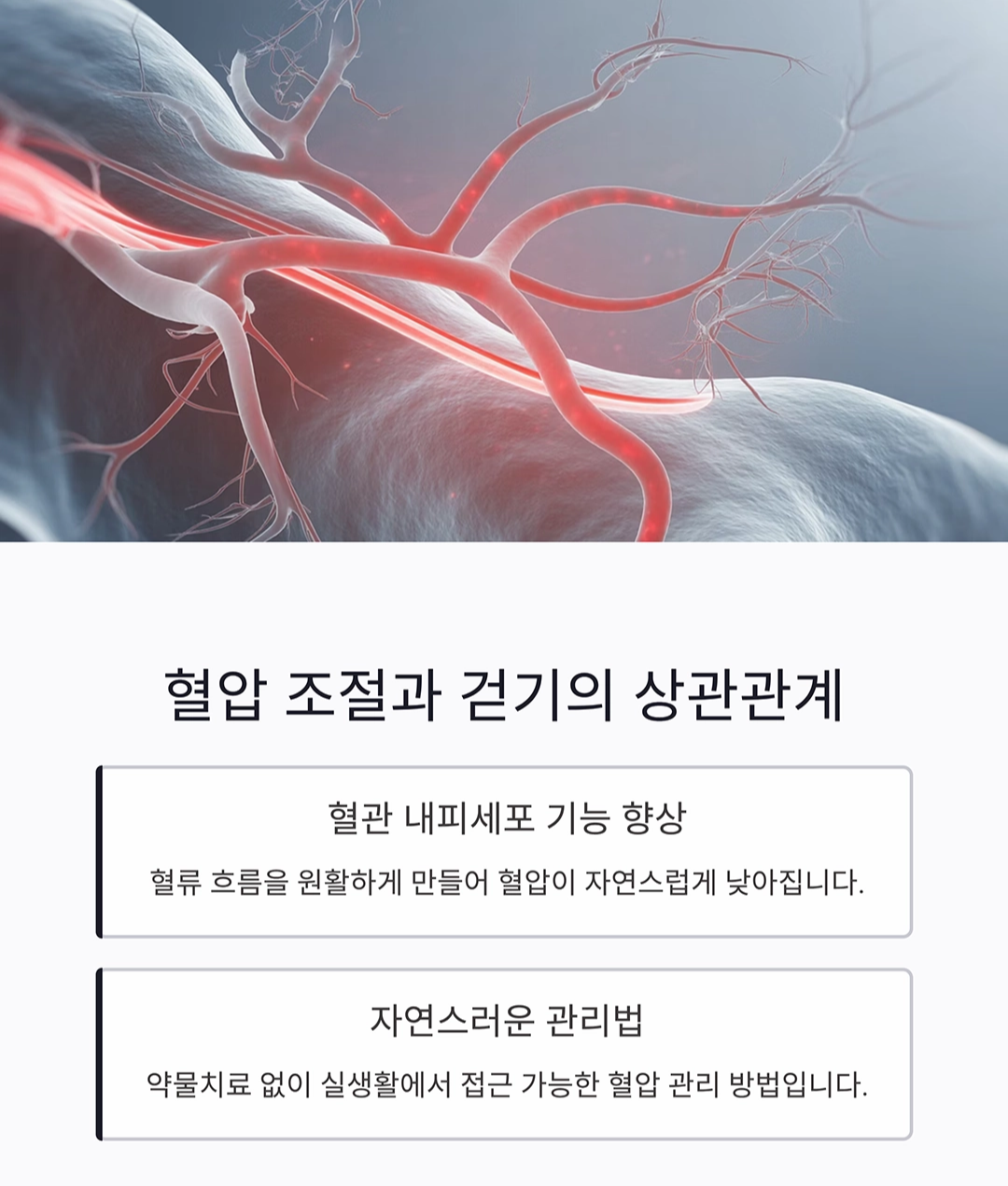걷기 운동만으로 혈압 낮추는 과학적 비밀 공개