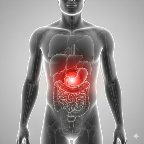 명치 통증 위치 사진