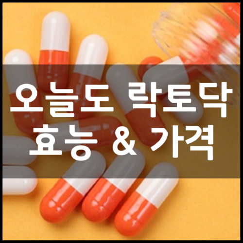 오늘도-락토닥-효능-성분-부작용부터-가격-정리-썸네일
