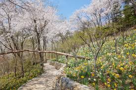 화담숲 어린이·어르신 추천 코스 및 주차 꿀팁 총정리