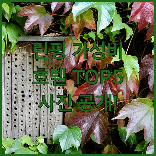 항저우 린핑 가성비 호텔 추천 5곳 ..