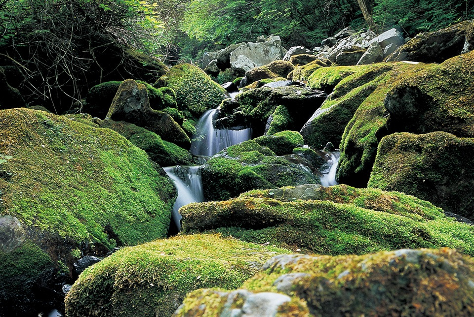 가리왕산 등산코스 지도