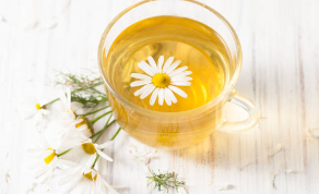 카모마일차