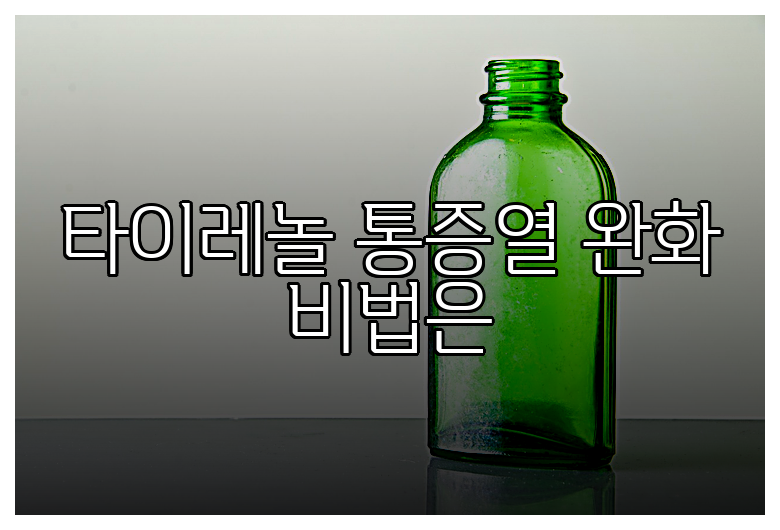 타이레놀 통증열 완화 비법은