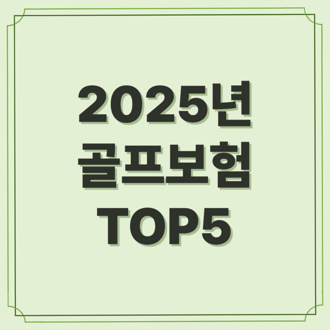 2025년 최신 골프보험 순위 TOP5 - 가입 전 꼭 보세요!
