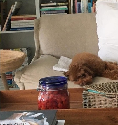 강수지 김국진 집