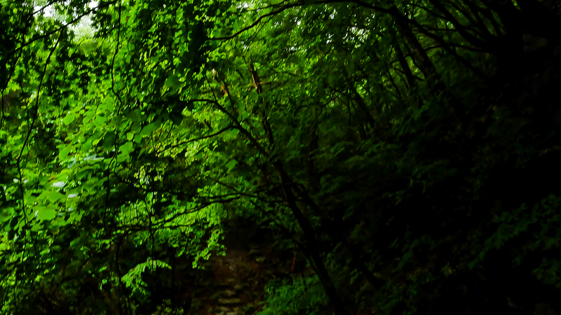 가리왕산 등산 시작 점