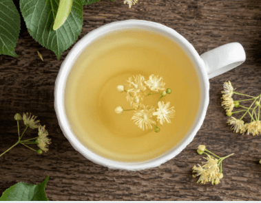 우엉차 효능 10가지 및 부작용