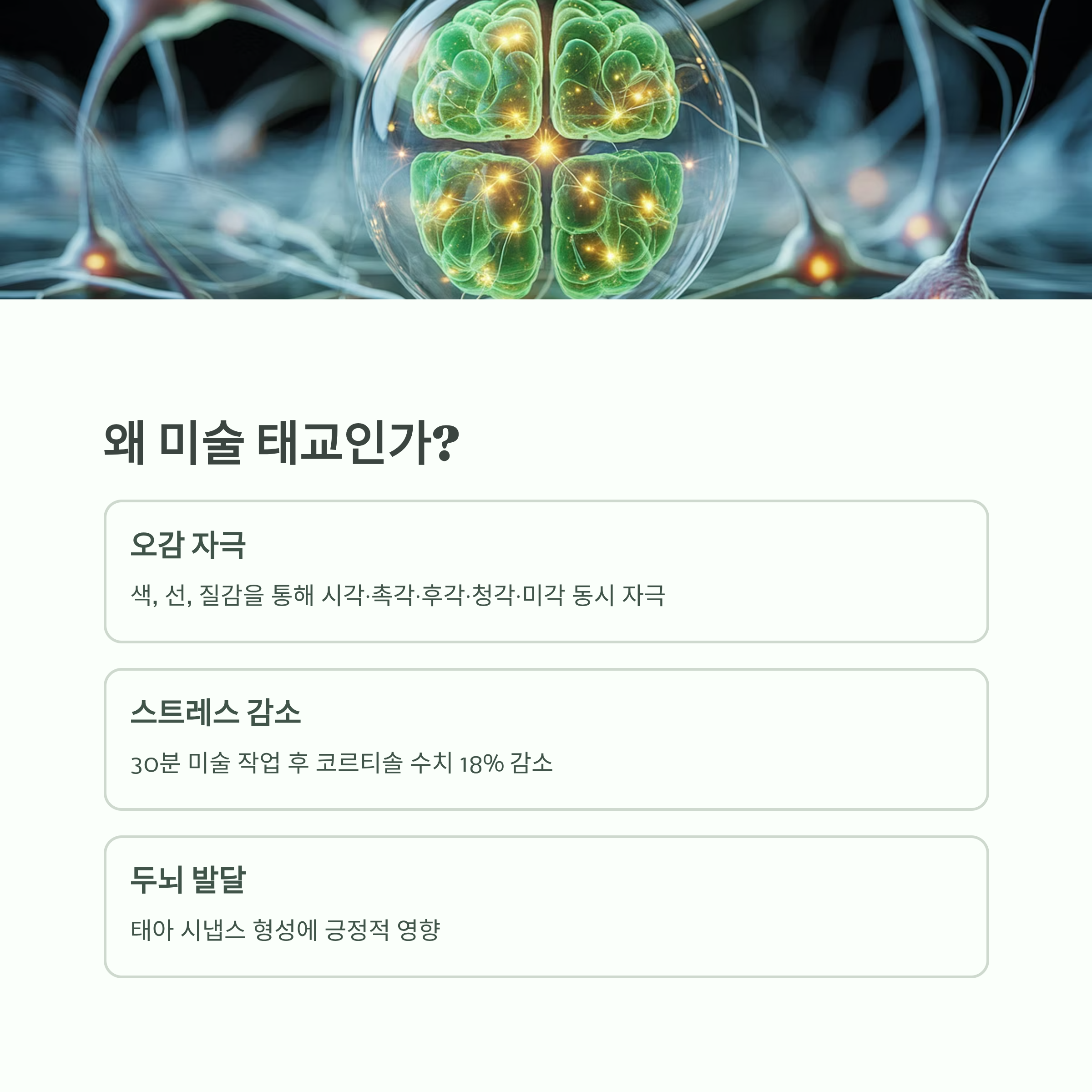 신경세포 일러스트 이미지와 함께, 미술 태교가 오감 자극, 스트레스 감소, 태아 시냅스 형성에 긍정적 영향을 준다는 내용을 정리한 인포그래픽