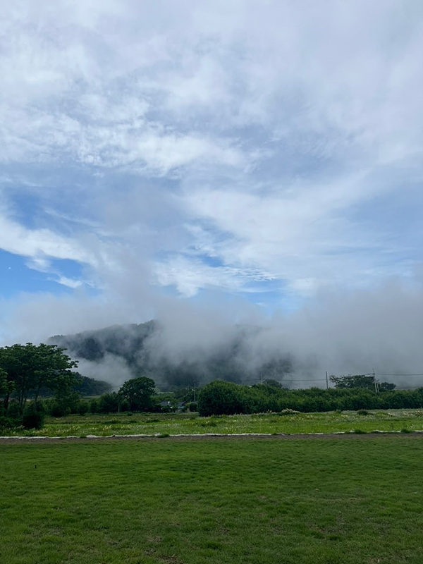 울릉도 카페 추천