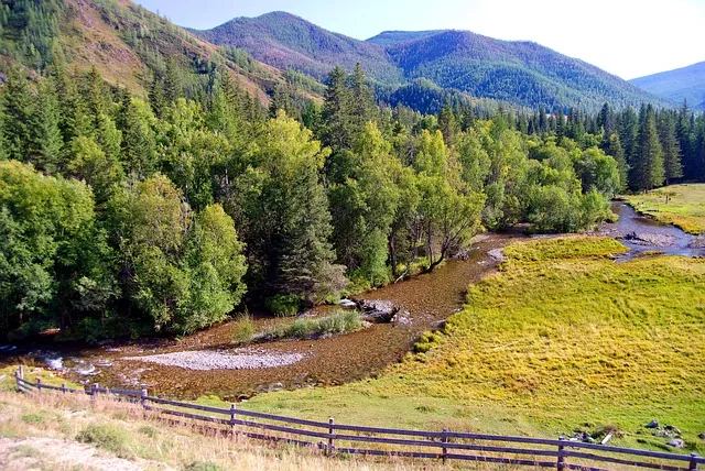 알타리김치 맛있게 담는법에 대한 김치비법_4