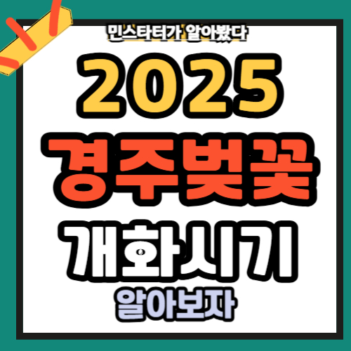 경주 벚꽃 개화시기 2025 명소