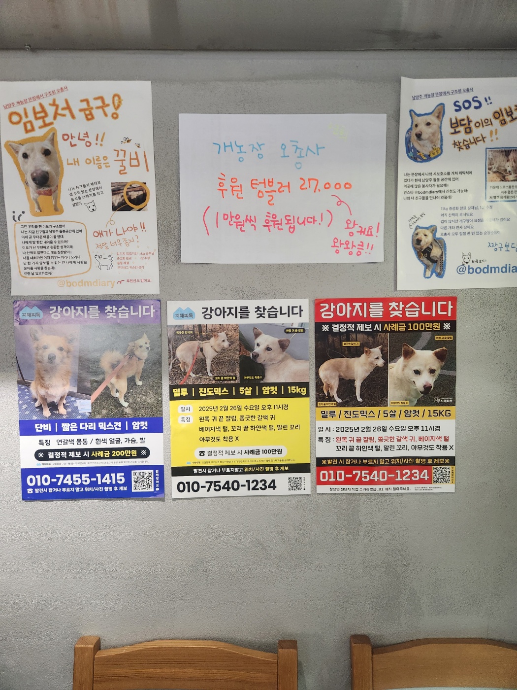 동물권 메시지가 자연스럽게 스며든 공간 수월