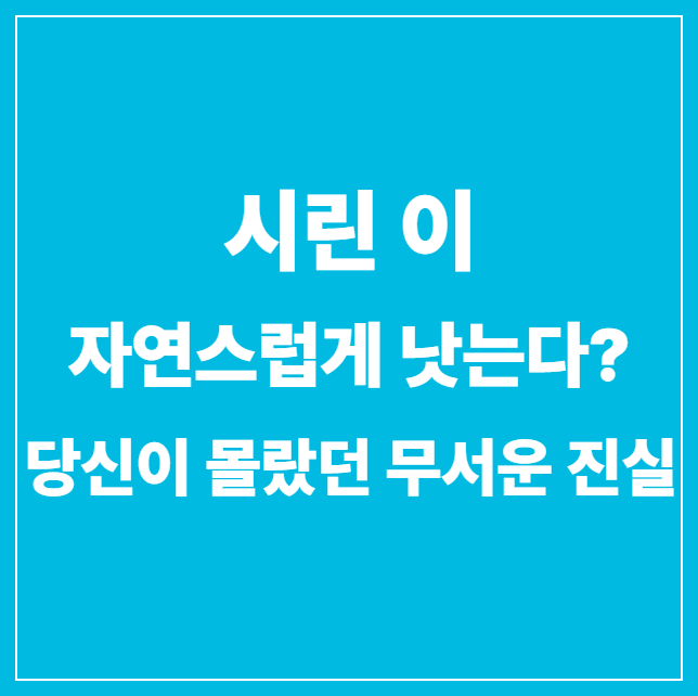 시린이 썸네일 문구