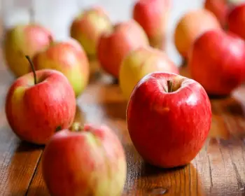 청송 사과축제_14