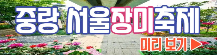 중랑 서울 장미축제_25