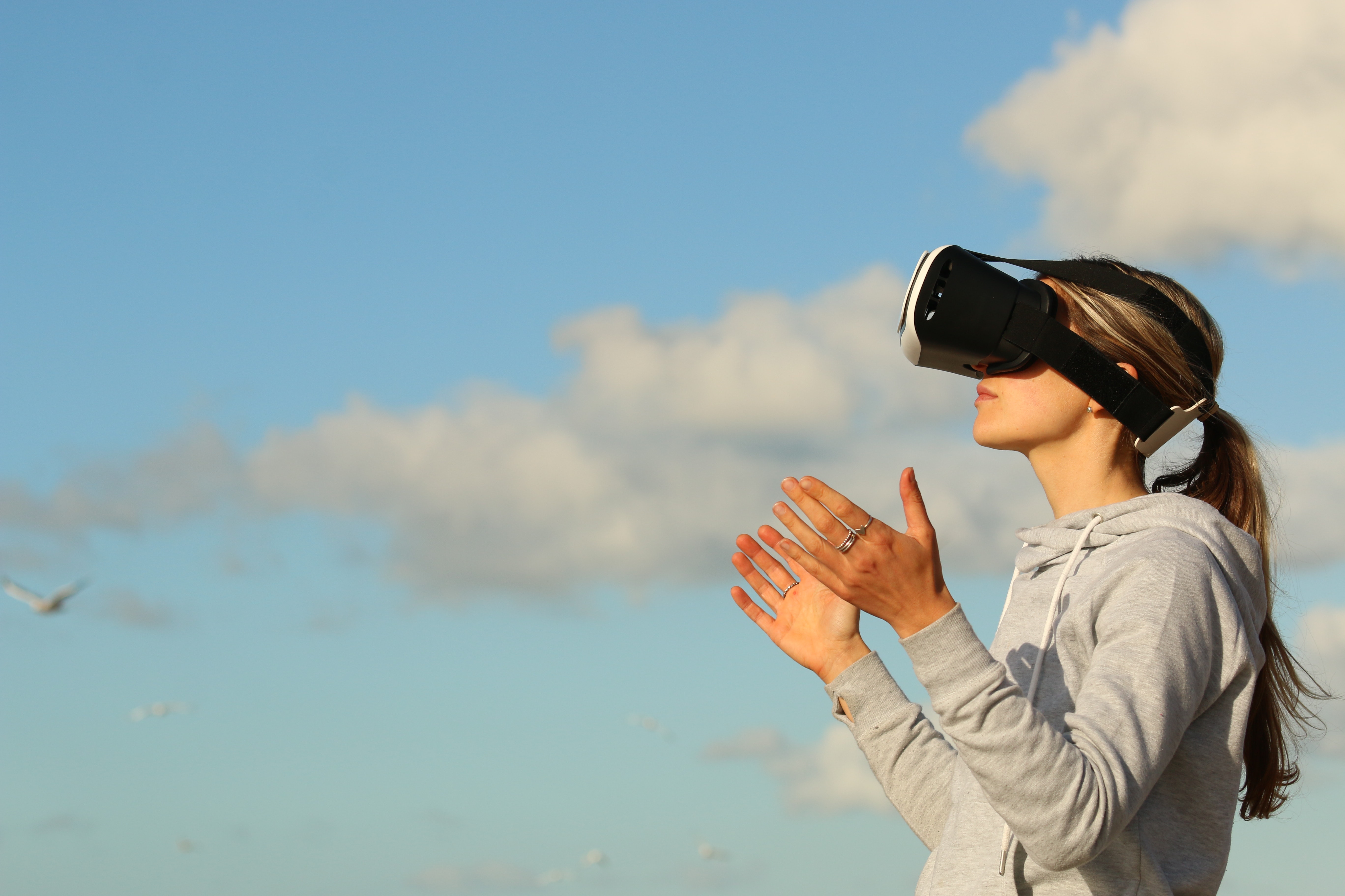 가상 현실(VR)과 증강 현실(AR)의 미래 : 서문 - 가상 현실(VR)과 증강 현실(AR)의 세계