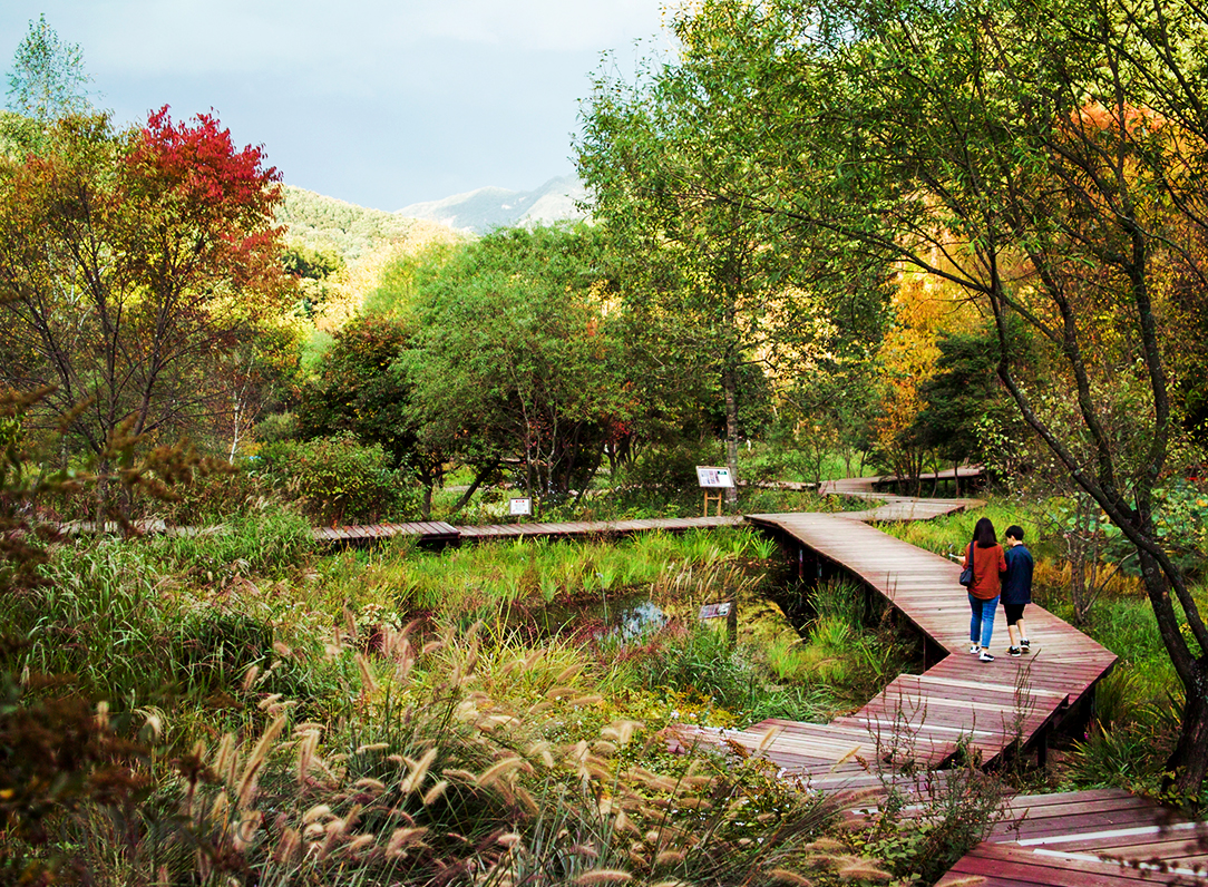 평강랜드 관람 가이드 – 이용 정보부터 테마 정원 산책 포인트까지 정리