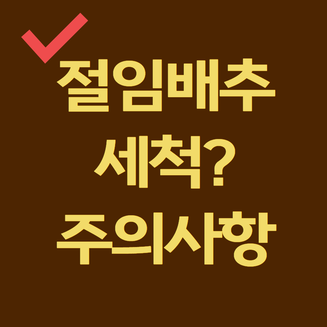 절임배추 세척 보관 주의사항