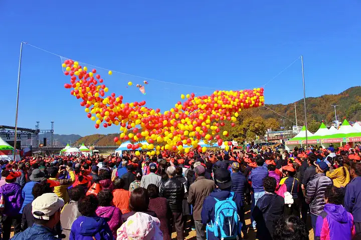 경북 청송 청송사과축제, 산소카페, 사과, 식당, 청송백자 가볼만한 곳 추천